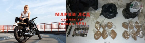 крисы Липки