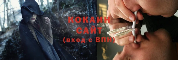 крисы Липки
