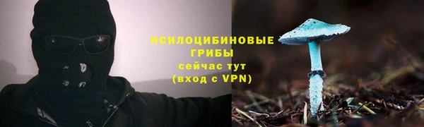 крисы Липки