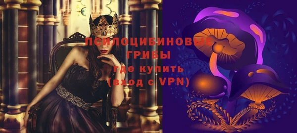 крисы Липки